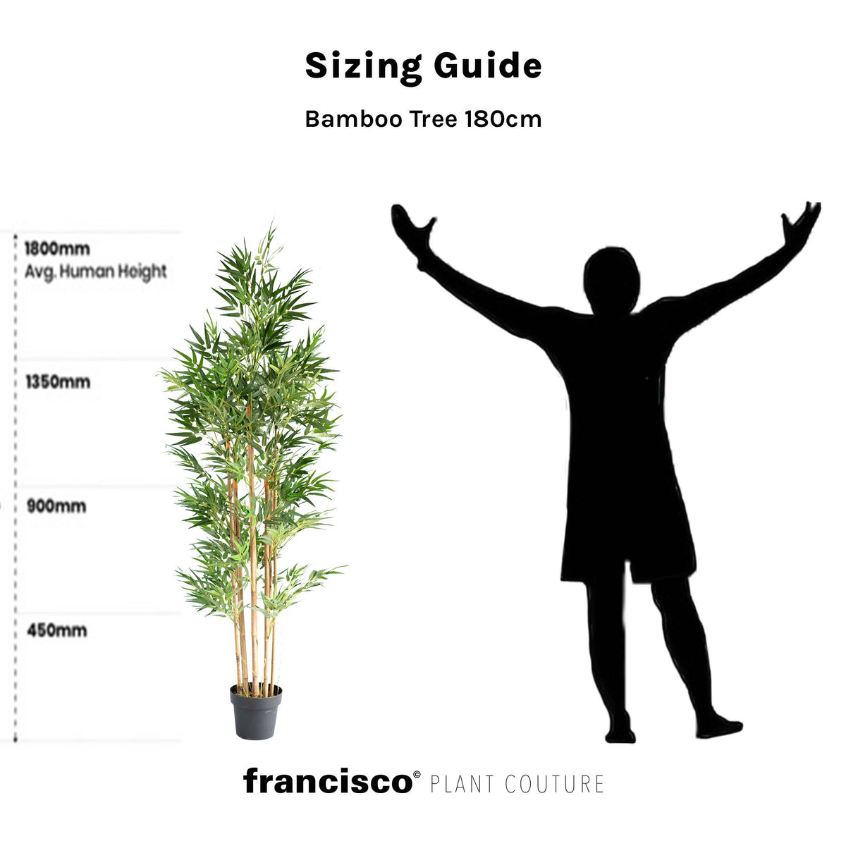 Bamboo Tree - 180cm