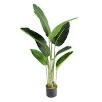 Plant Couture - Artificial Plant & Pot Combo - With Bird of Paradise 120cm