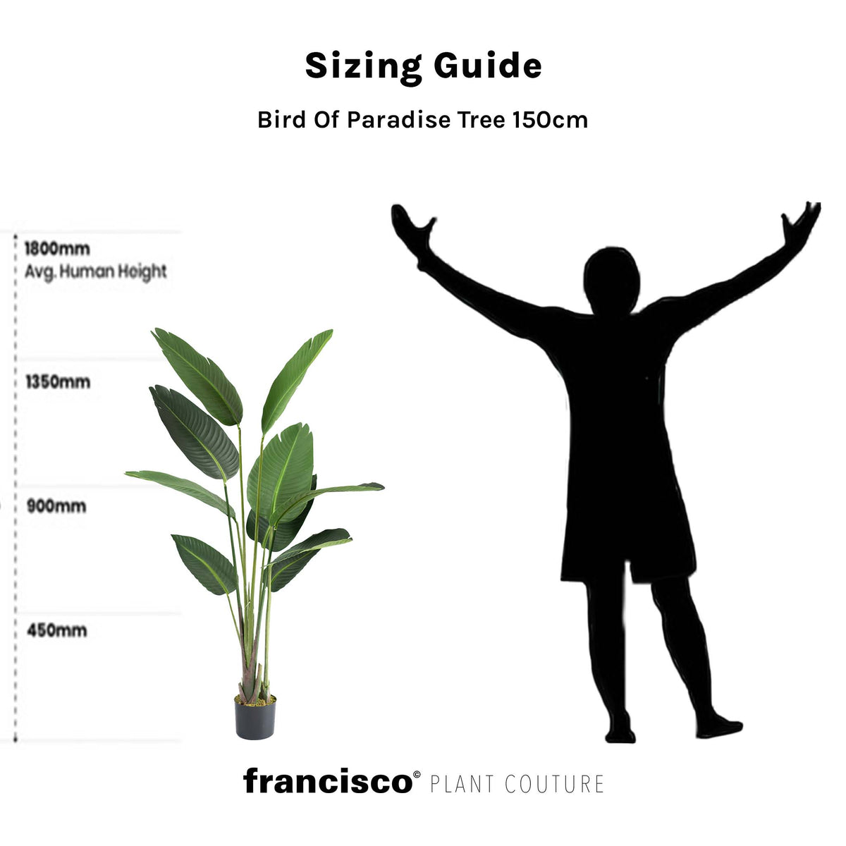 Bird Of Paradise Tree - 150cm