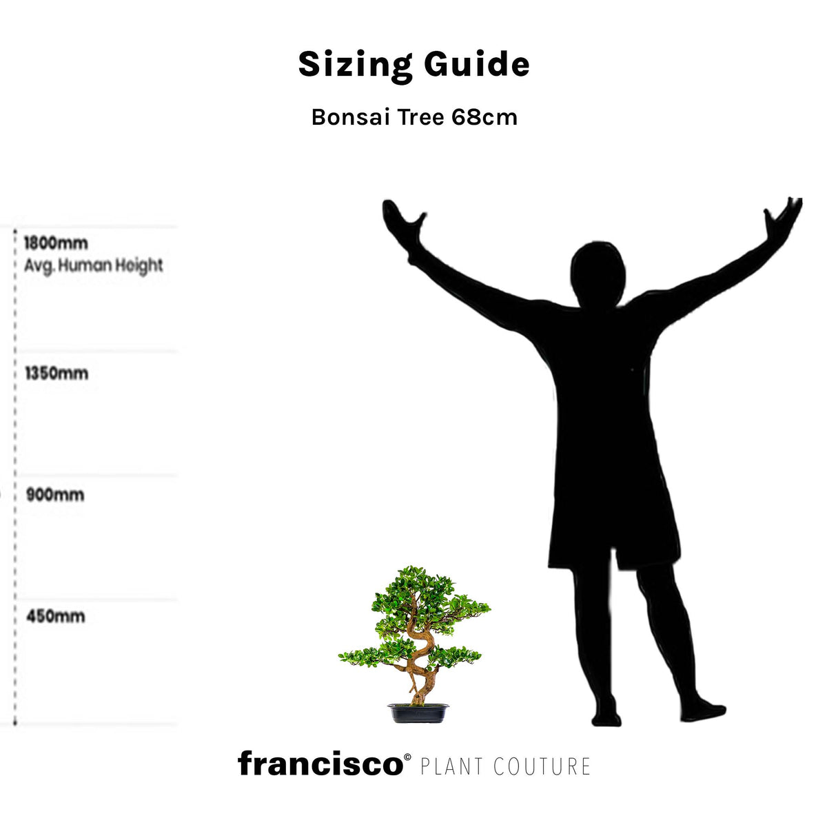Bonsai Tree 68cm