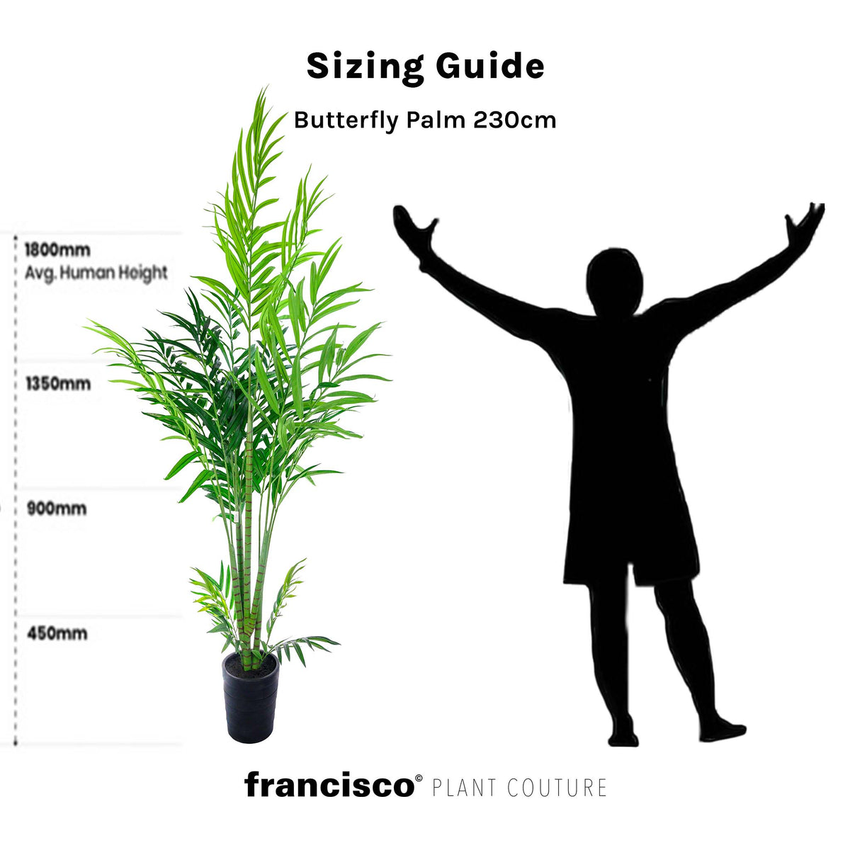 Butterfly Palm 230cm. Artificial tree with measurements. Plant Couture.