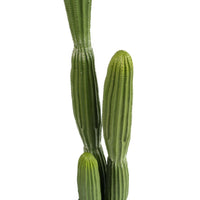Cactus 150cm - Plant Couture - Artificial Plants