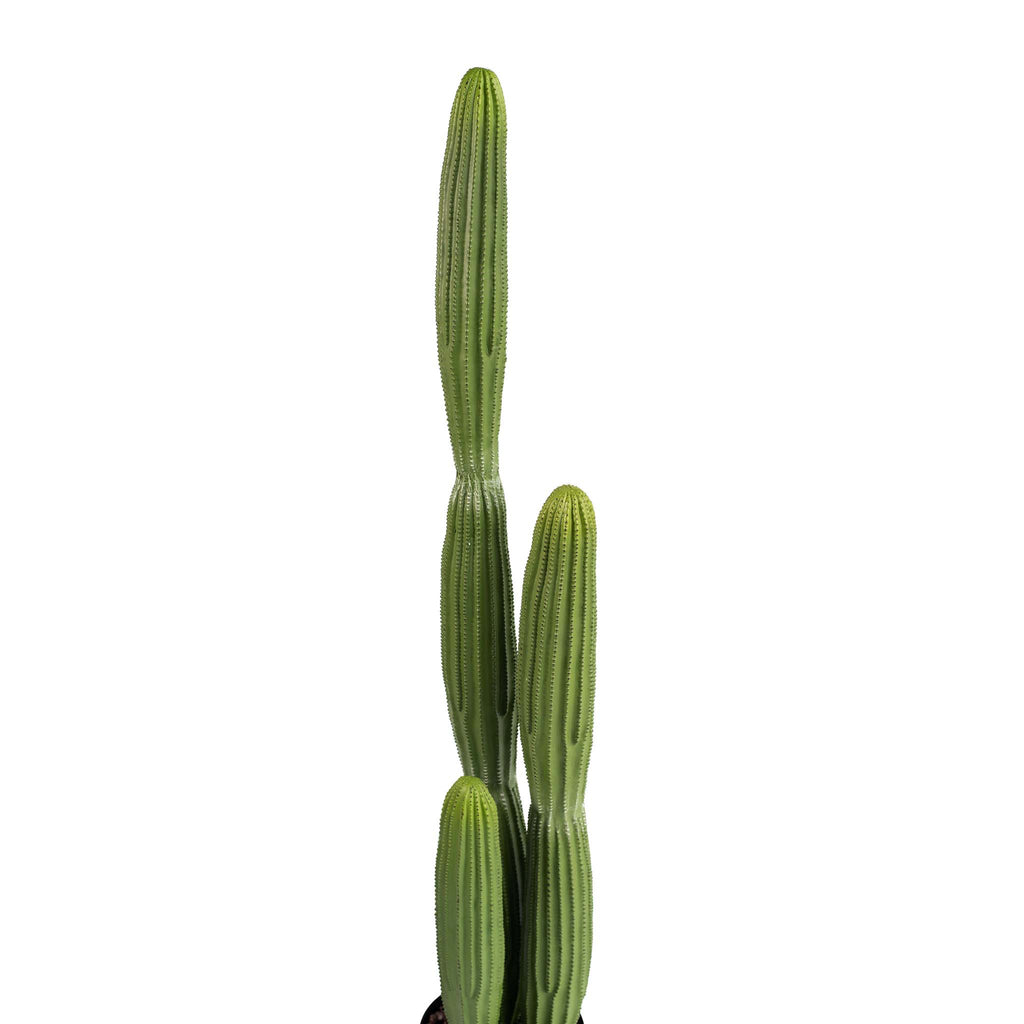 ARTIFICIAL CATUS 3 FINGER 150CM CLOS-UP OF  TOP OF STEMS 