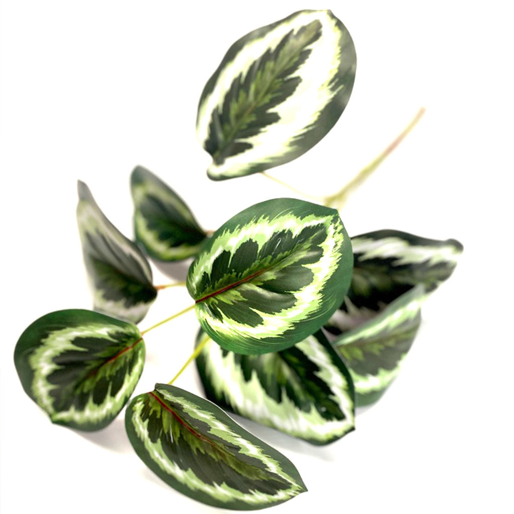 Filler Calathea 45cm - Plant Couture - Artificial Plants