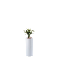 Plant Couture - Artificial Plant & Pot Combo - Cardin B with Agave 55cm