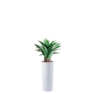 Plant Couture - Artificial Plant & Pot Combo - Cardin B with Agave 90cm