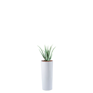 Plant Couture - Artificial Plant & Pot Combo - Cardin B with Aloe 70cm