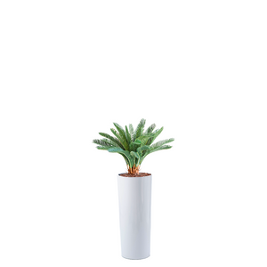 Plant Couture - Artificial Plant & Pot Combo - Cardin B with Cycas 72cm