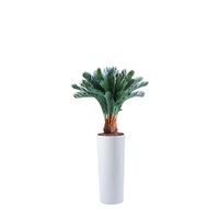 Plant Couture - Artificial Plant & Pot Combo - Cardin B with Cycas 93cm