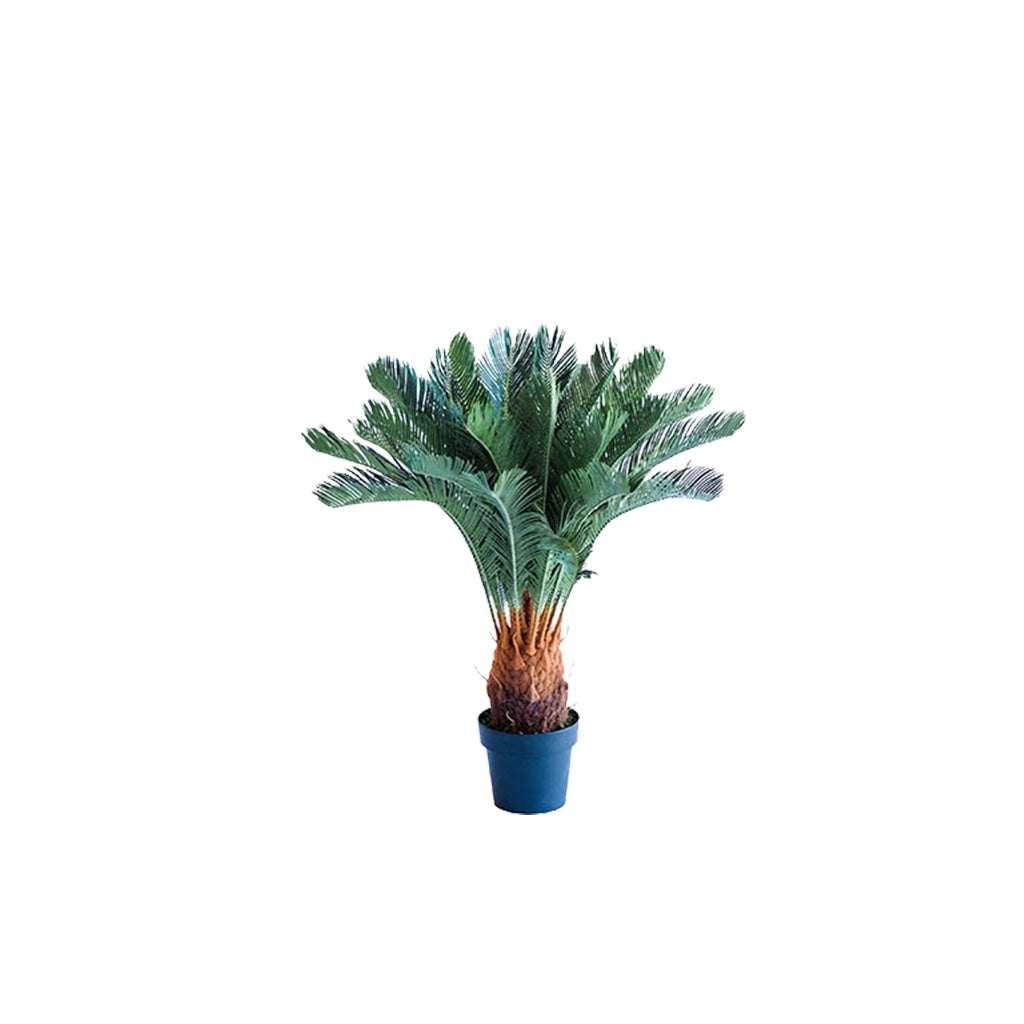 Plant Couture - Artificial Plants - Cycas 93cm