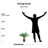 Cycas 72cm - Plant Couture - Artificial Plants