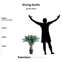 Cycas 93cm - Plant Couture - Artificial Plants