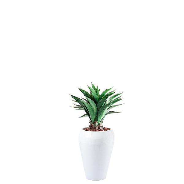 Plant Couture - Artificial Plant & Pot Combo - Dahla B with Agave 90cm