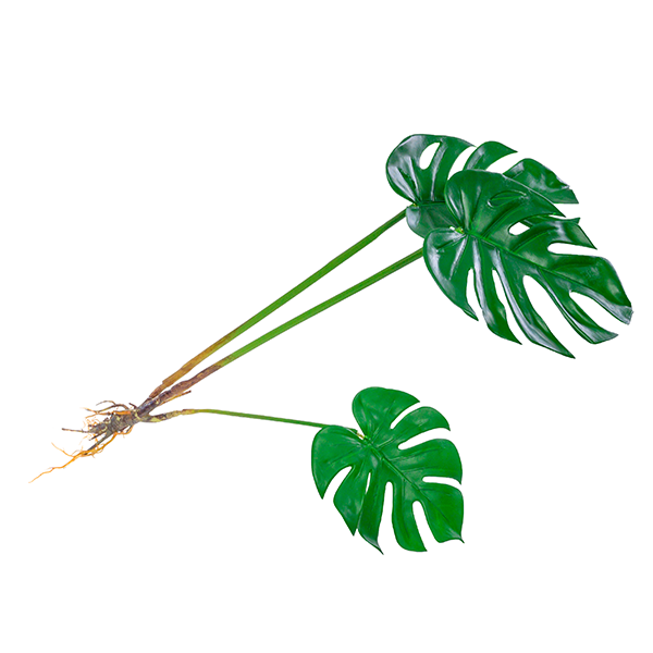 Plant Couture - Artificial Plants - Split Philo 70cm - Side 