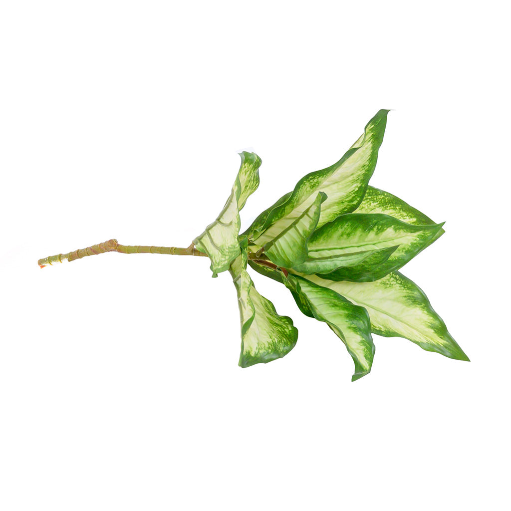 Plant Couture - Artificial Plants - Diffenbachia 44cm Green & White - Side 
