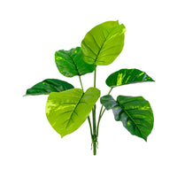 Plant Couture - Artificial Plants - Dieffenbachia 57cm - Front 