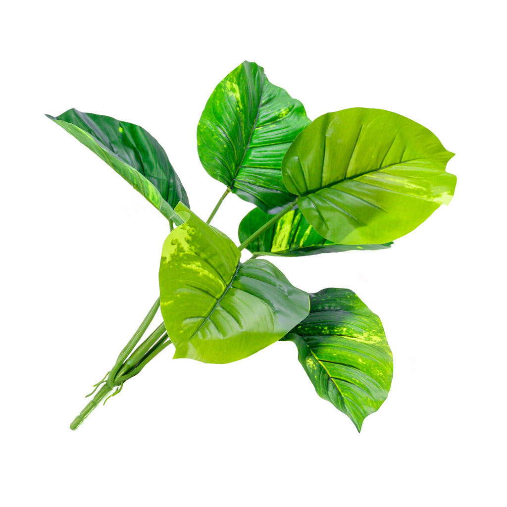 Plant Couture - Artificial Plants - Dieffenbachia 57cm - Side 