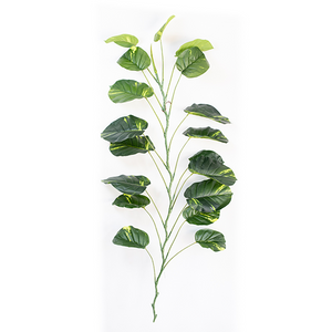 Plant Couture - Artificial Plants - Hanging Diffenbachia Vine 180cm