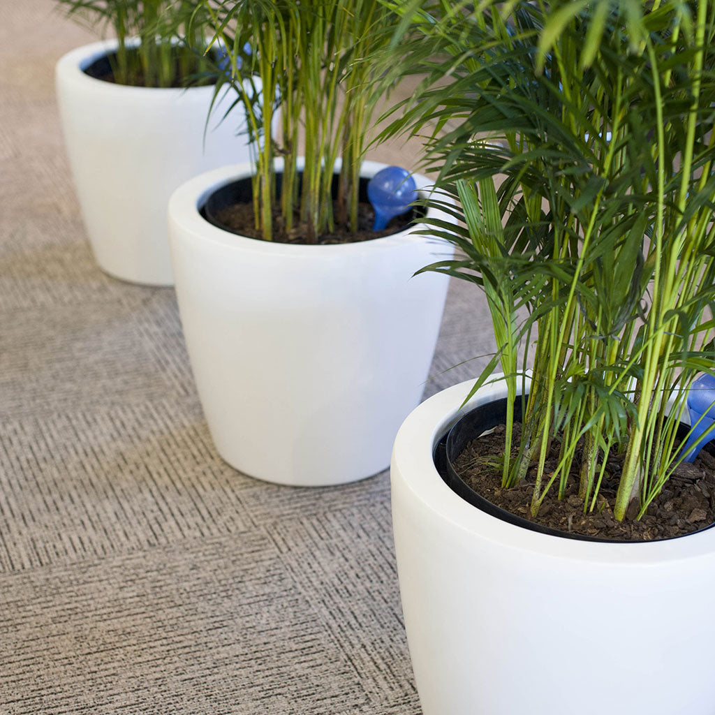 indoor pot plants south africa Dior B Fiberglass Pot - Pots and Planters