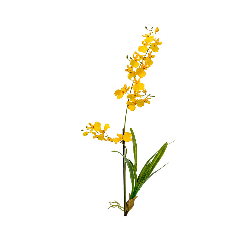 Plant Couture - Artificial Plants - Dancing Orchid 70cm Yellow