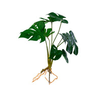 Plant Couture - Artificial Plants - Delicious Monster 44cm