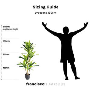 Dracaena 130cm - Plant Couture - Artificial Plants