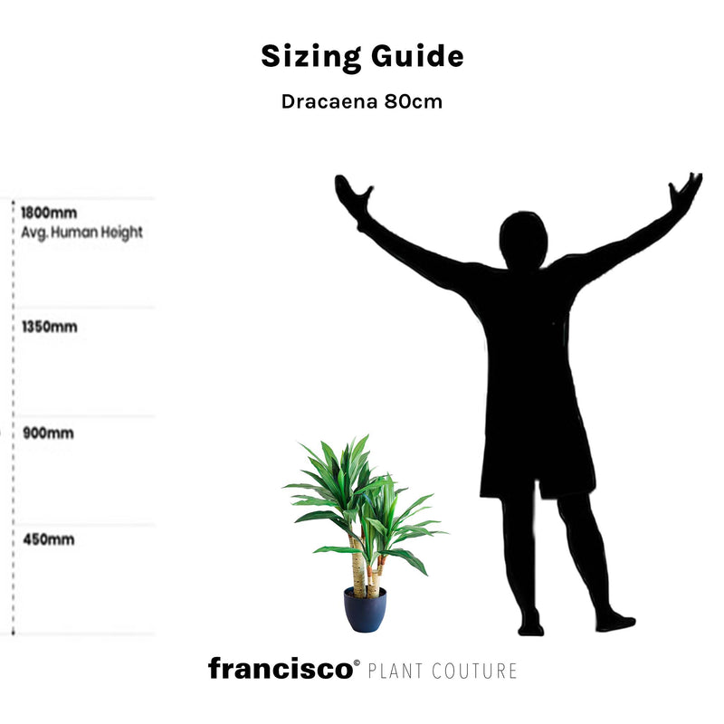 Dracaena 80cm - Plant Couture - Artificial Plants