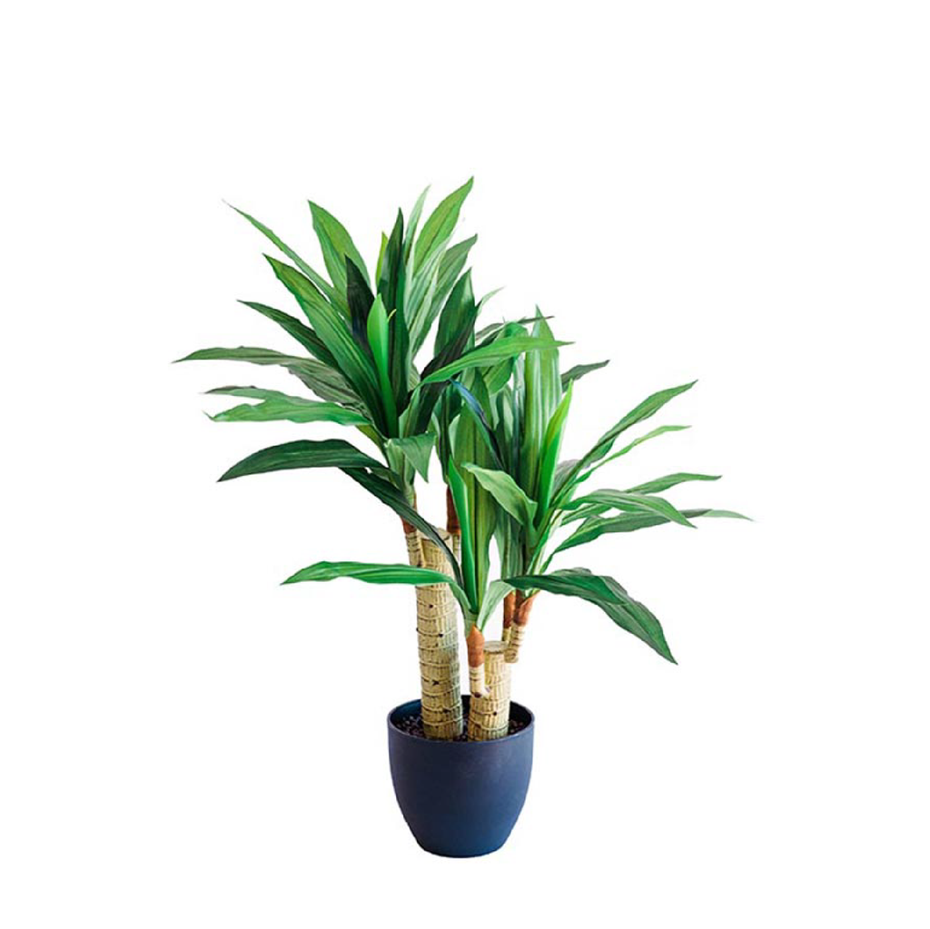 Plant Couture - Artificial Plants - Dracaena 80cm