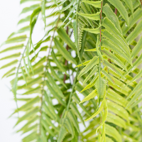 Plant Couture - Artificial Plants - Hanging Sword Fern 120cm - Close Up Of Leaves 