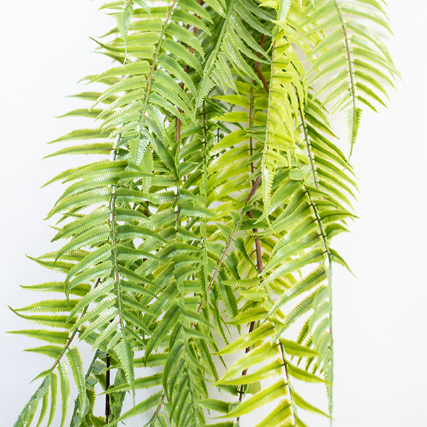 Plant Couture - Artificial Plants - Hanging Sword Fern 120cm - Close Up 