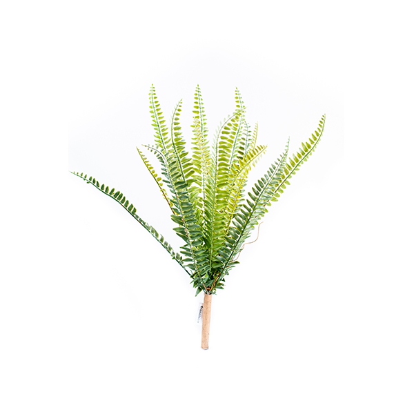 Plant Couture - Artificial Plants - Fern Bush 52cm