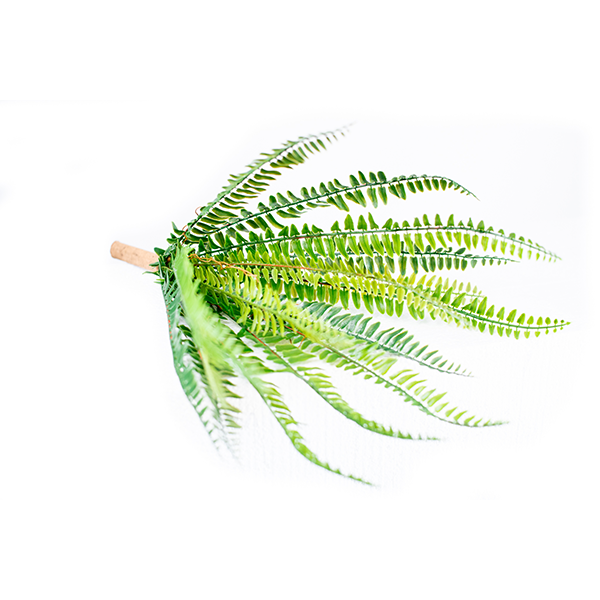 Plant Couture - Artificial Plants - Fern Bush 52cm - Close Up