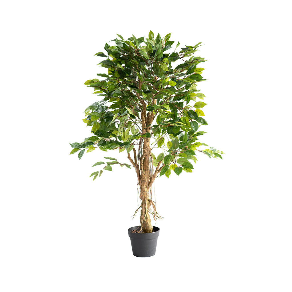 Plant Couture - Artificial Plants - Ficus Tree Real Touch 120cm 