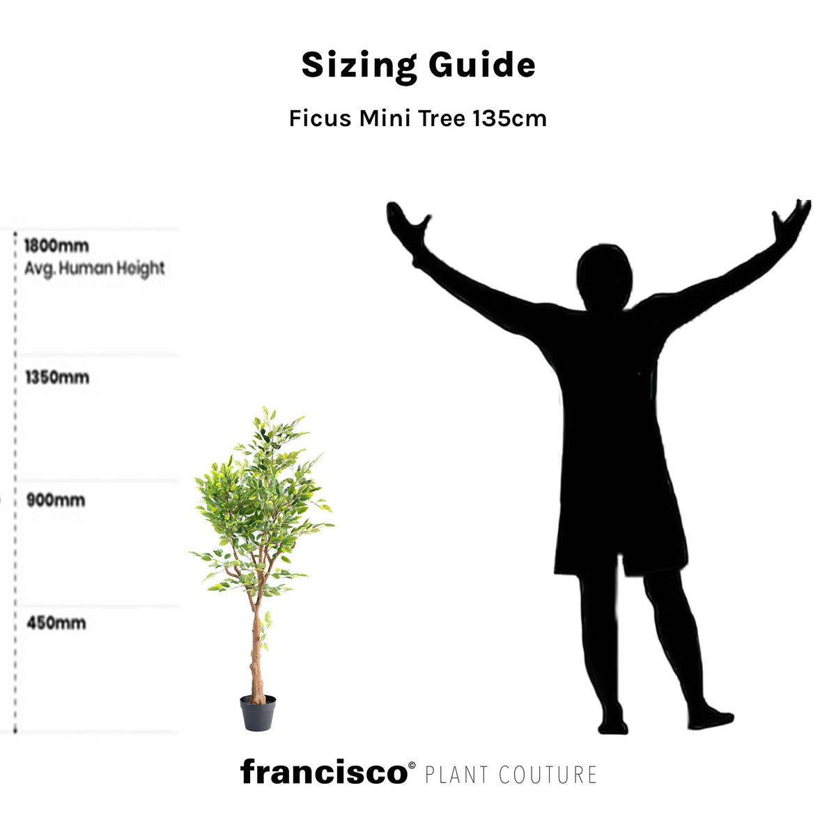 Ficus Mini Tree - 135cm