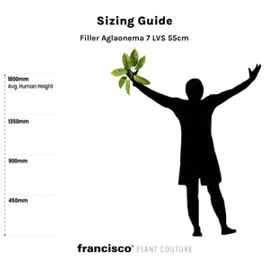 Filler Aglaonema 7 LVS 55cm - Plant Couture - Artificial Plants