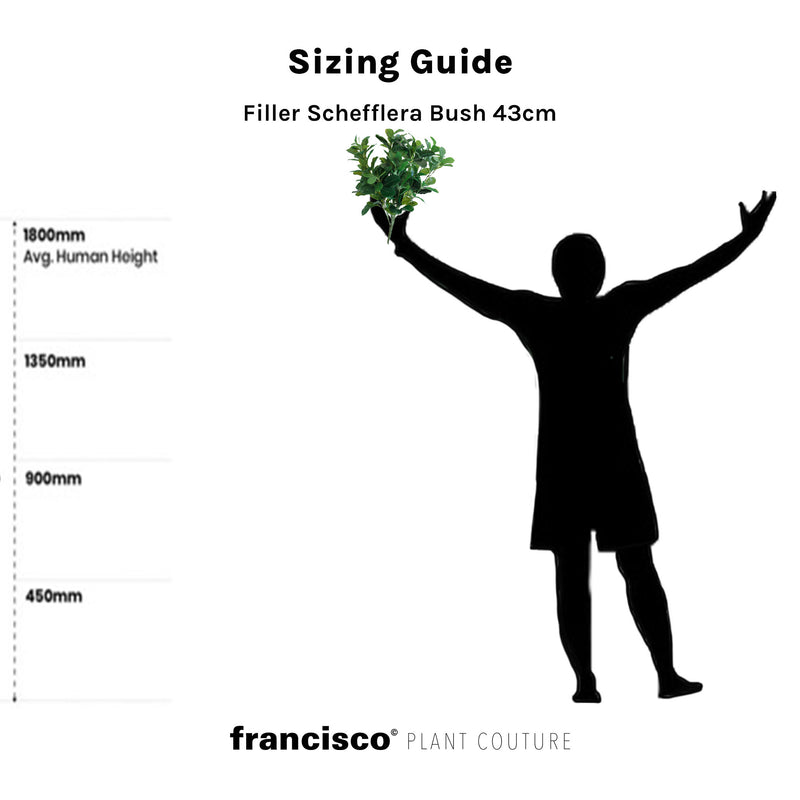 Filler Schefflera Bush 43cm - Plant Couture - Artificial Plants