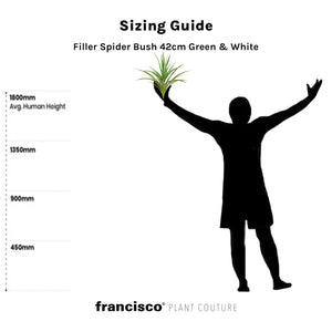 Filler Spider Bush 42cm Green & White - Plant Couture - Artificial Plants