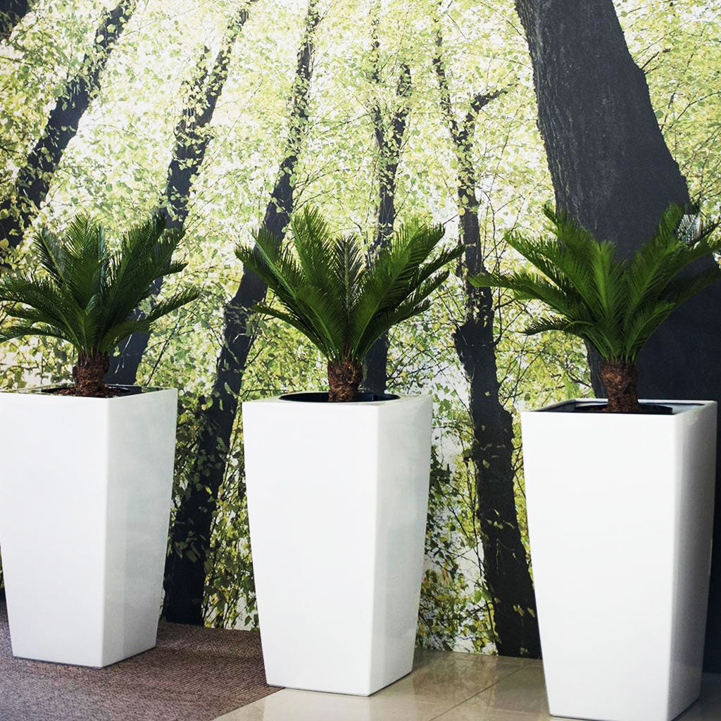 Plant Couture - Pots & Planters - Gaultier B - Lifestyle Image 