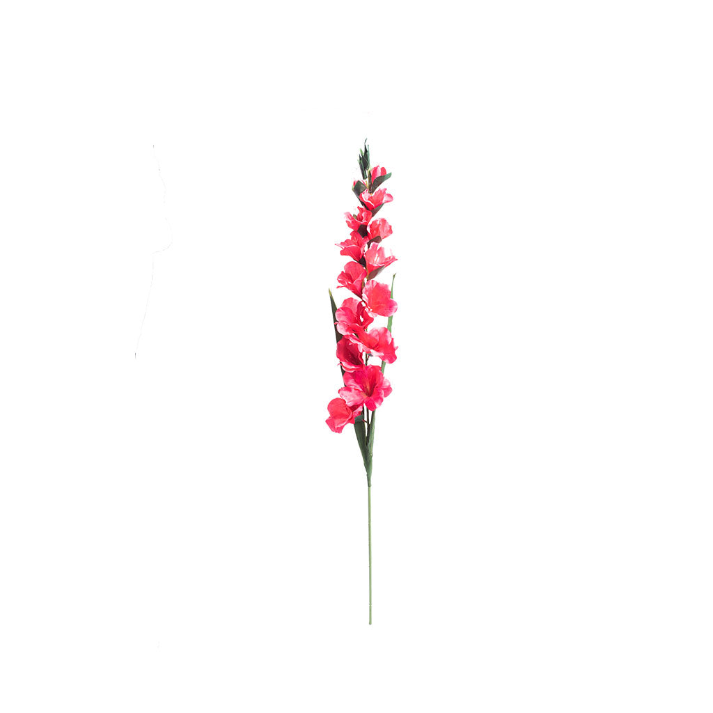 Single Silk Gadiolus Stem 100cm in Hot Pink