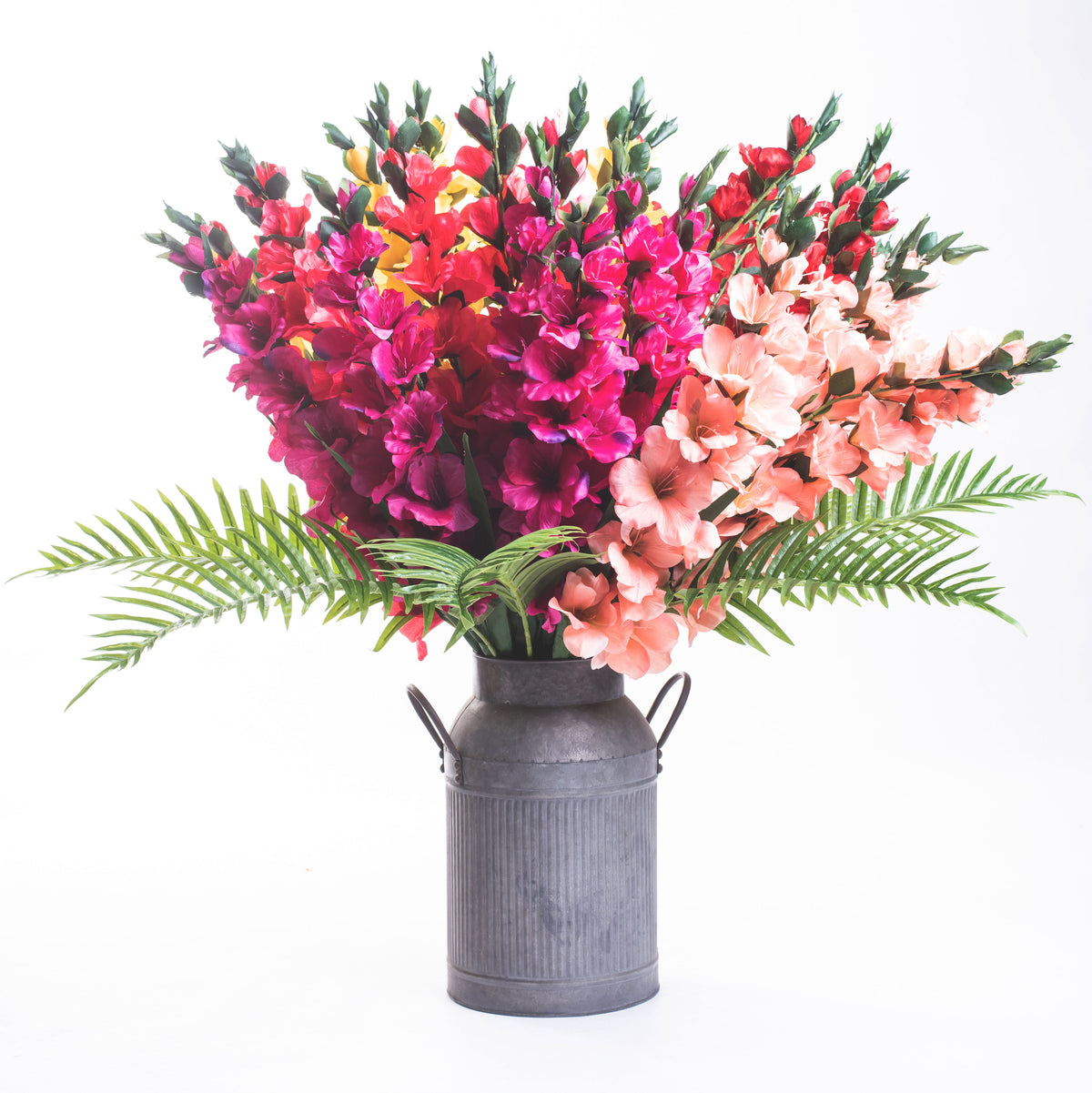 Mixture of all the available colours of the Gladiolus flower stems