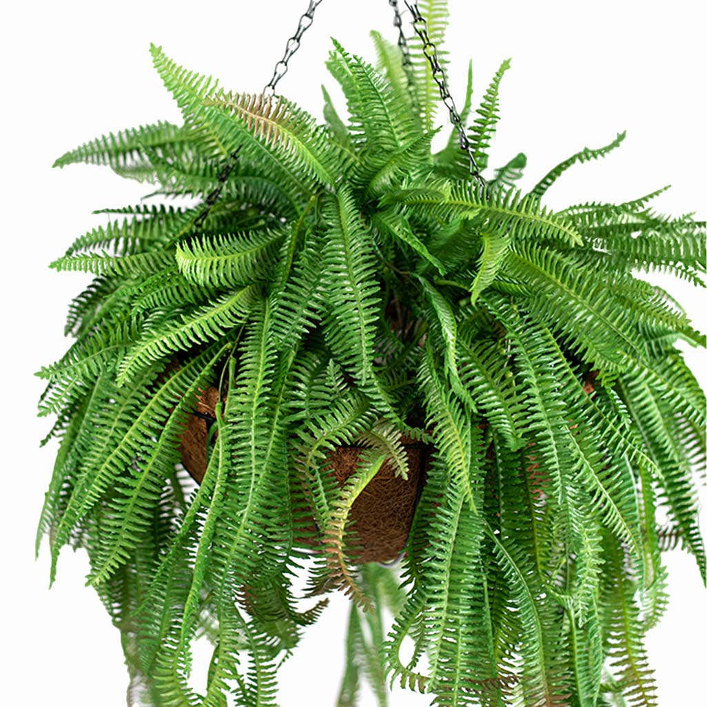 hanging plants south africa Hanging Basket with Boston Fern (S) - Artificial Plants