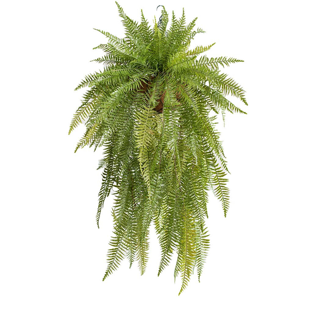 Hanging Basket L with Fern 114CM - Plant Couture - Hanging Baskets