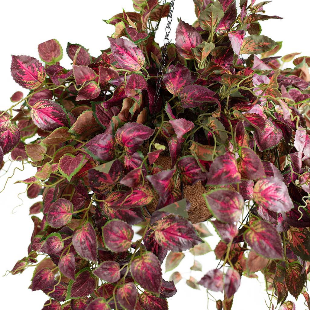 Hanging Basket L with Perilla - 70cm