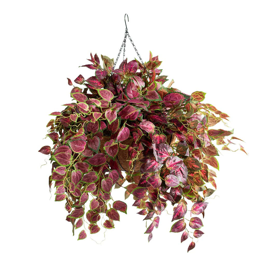 Hanging Basket L with Perilla 70CM - Plant Couture - Hanging Baskets
