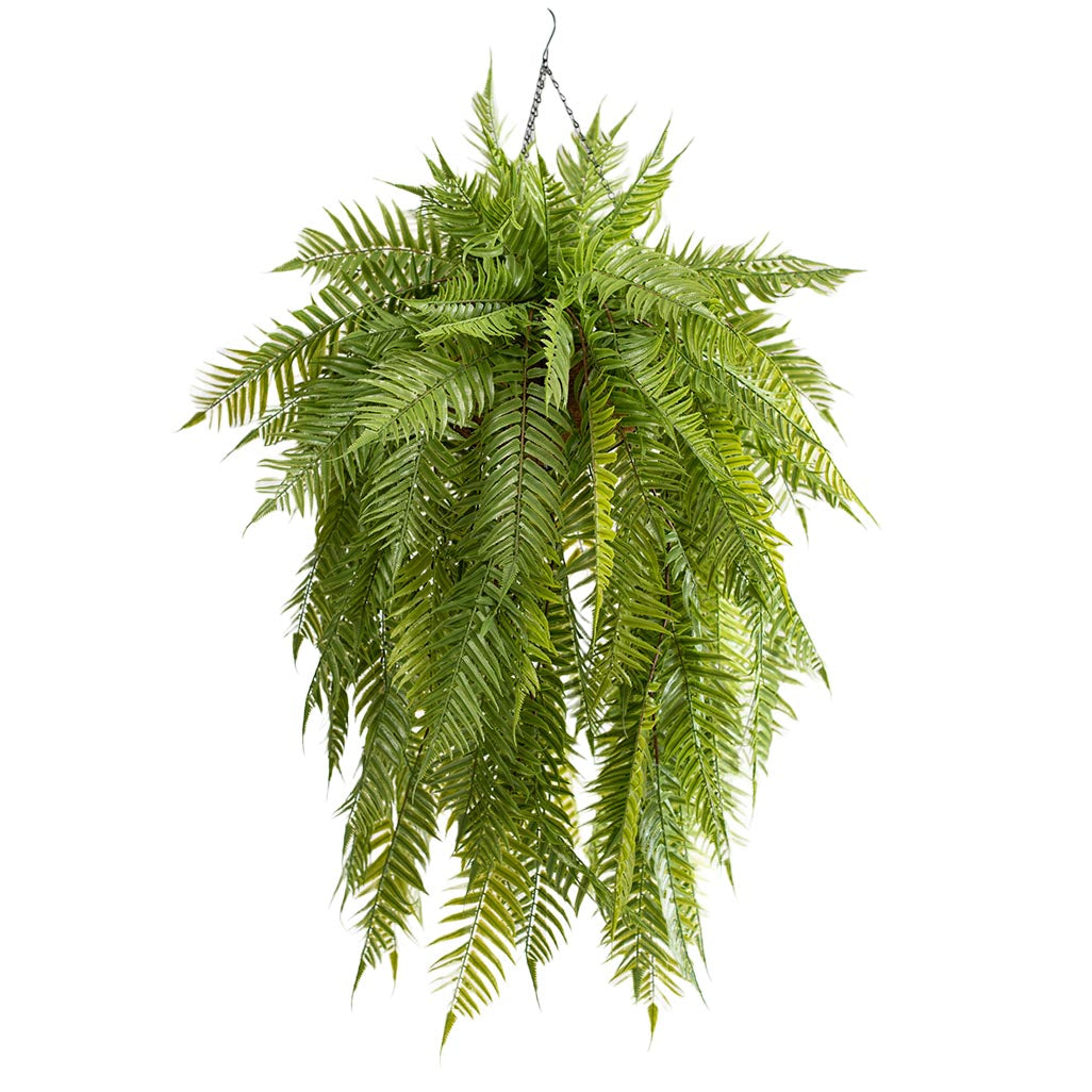 Hanging Basket L with Sword Fern 120cm