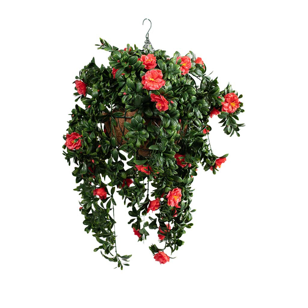 Hanging Basket L with Gardenia UV 92CM - Plant Couture - Hanging Baskets