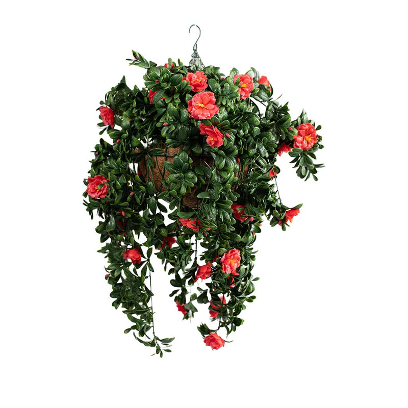 Hanging Basket L with Gardenia UV 92CM Plant Couture Hanging Baske