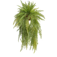Hanging Basket M with Fern 114CM - Plant Couture - Hanging Baskets