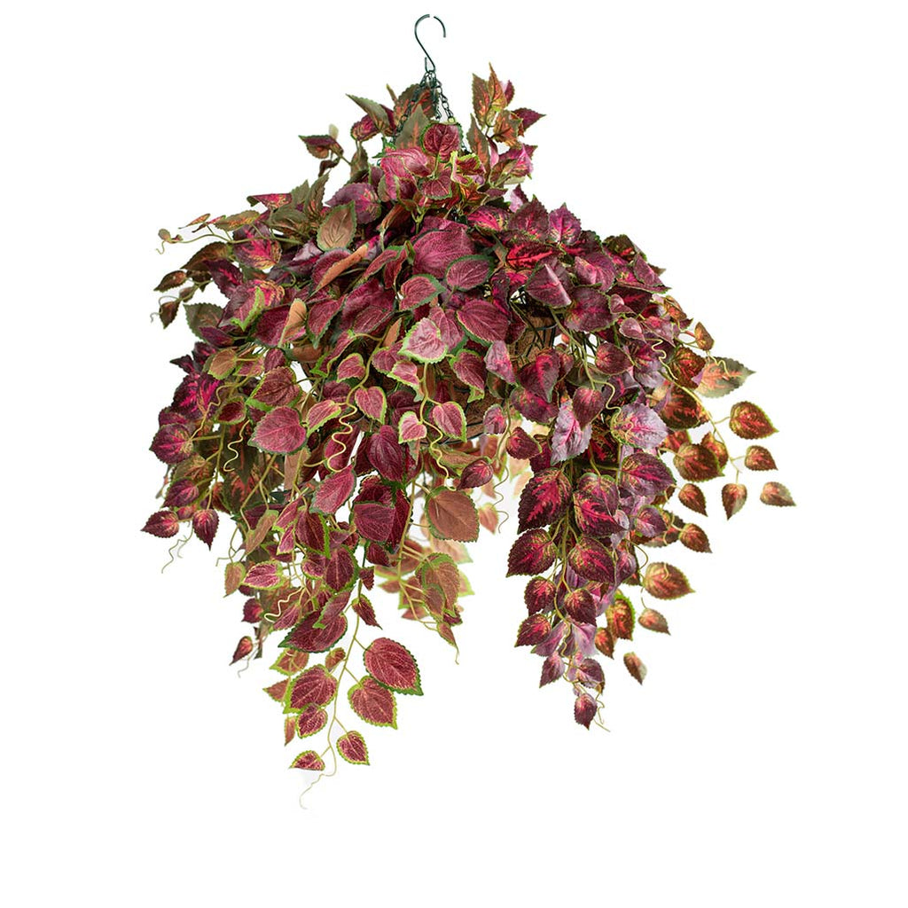 Hanging Basket M with Perilla 70CM - Plant Couture - Hanging Baskets