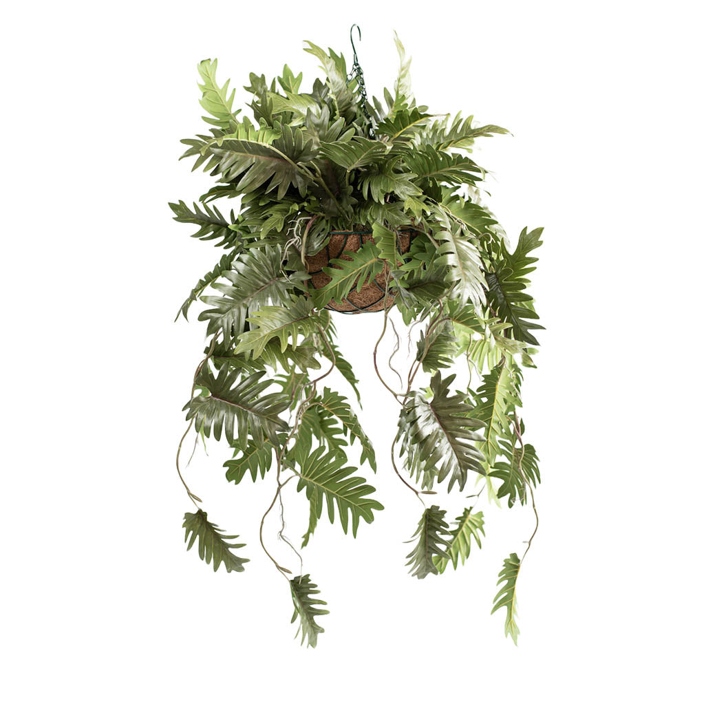 philodendron hanging basket silk plant Hanging Basket with Philodendron (M) 90cm - Plant Couture
